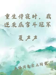 重生侍寝时，我逆袭成宫斗冠军