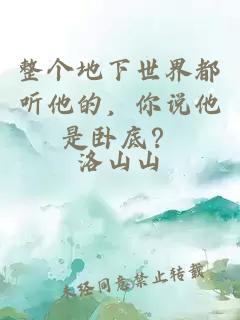 整个地下世界都听他的，你说他是卧底？