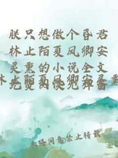 朕只想做个昏君林止陌夏凤卿安灵熏的小说全文免费阅读无弹窗