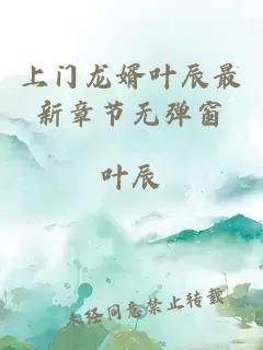 上门龙婿叶辰最新章节无弹窗