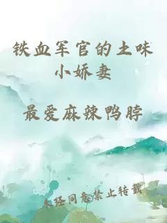 铁血军官的土味小娇妻