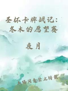 圣杯卡牌战记：冬木的愿望赛