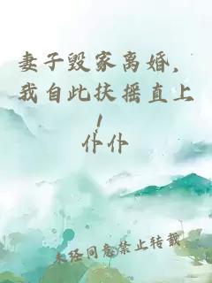 妻子毁家离婚，我自此扶摇直上！