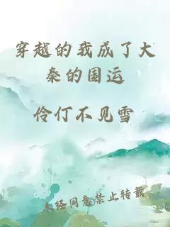 穿越的我成了大秦的国运