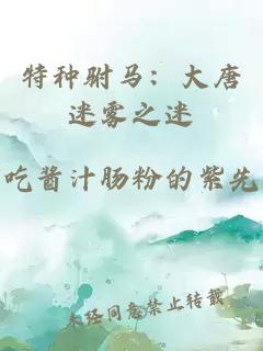 特种驸马：大唐迷雾之迷