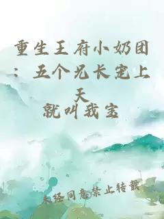 重生王府小奶团：五个兄长宠上天