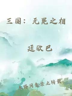 三国：无冕之相