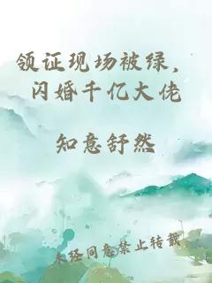 领证现场被绿，闪婚千亿大佬