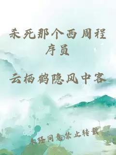 杀死那个西周程序员