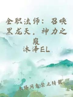 全职法师：召唤黑龙天，神力之巅
