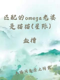 匹配的omega老婆是猫猫(星际)
