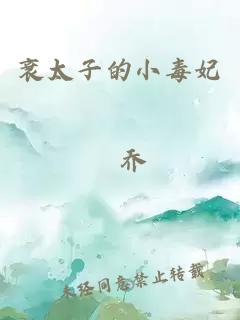 衰太子的小毒妃