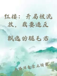 红楼：开局被流放，我要造反