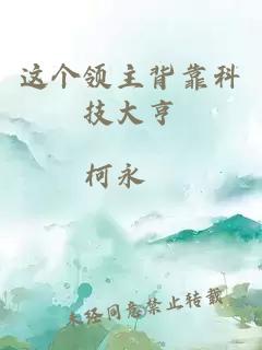 这个领主背靠科技大亨