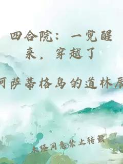 四合院：一觉醒来，穿越了