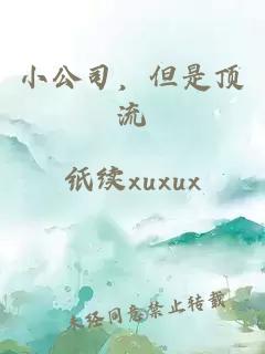 小公司，但是顶流