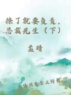 撩了就要负责，总裁先生（下）