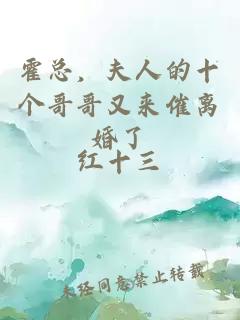 霍总，夫人的十个哥哥又来催离婚了