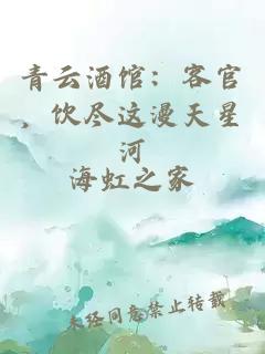 青云酒馆：客官，饮尽这漫天星河