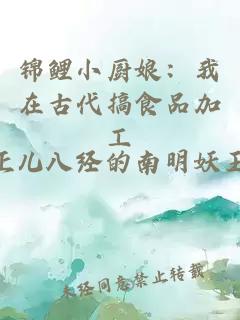 锦鲤小厨娘：我在古代搞食品加工