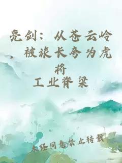 亮剑：从苍云岭，被旅长夸为虎将