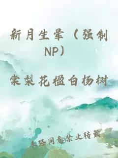 新月生晕（强制NP）
