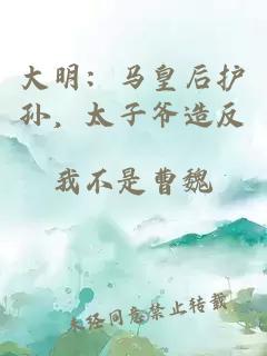 大明：马皇后护孙，太子爷造反