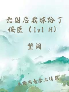 亡国后我嫁给了佞臣（1v1 H）