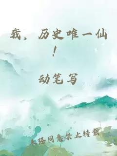 我，历史唯一仙！