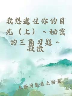 我想逮住你的目光（上）～秘密的三角习题～