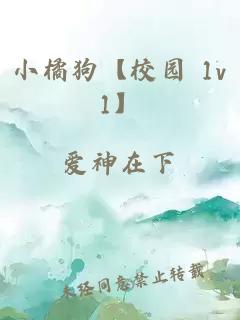 小橘狗【校园 1v1】