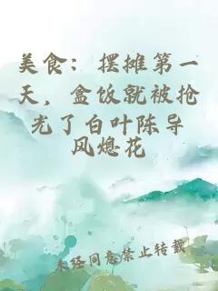 美食：摆摊第一天，盒饭就被抢光了白叶陈导