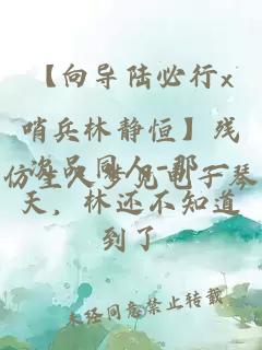 【向导陆必行x哨兵林静恒】残次品同人-那一天，林还不知道到了