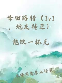峰回路转（1v1，炮友转正）