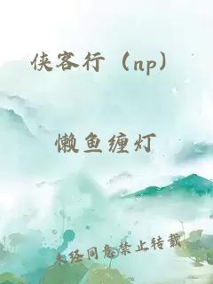 侠客行（np）