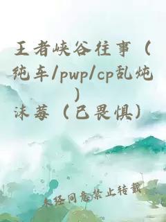 王者峡谷往事（纯车/pwp/cp乱炖）