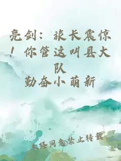 亮剑：旅长震惊！你管这叫县大队