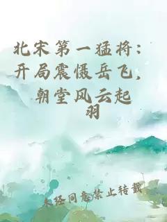 北宋第一猛将：开局震慑岳飞，朝堂风云起