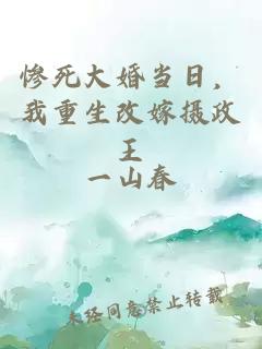 惨死大婚当日，我重生改嫁摄政王