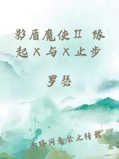 影盾魔使Ⅱ　　　缘起×与×止步