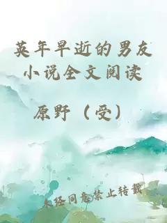 英年早逝的男友小说全文阅读