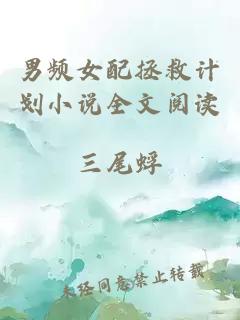 男频女配拯救计划小说全文阅读