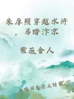 朱厚照穿越水浒，马踏汴京