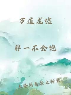 万道龙墟